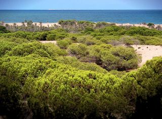 Lloguer Casa adossada en Mimosas (las) 11, urb. sierra toledana ii, 9. Adosado primera línea, junto a pinada Lloguer Casa adossada en Mimosas (las) 11, urb. sierra toledana ii, 9. Adosado primera línea, junto a pinada