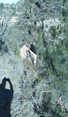 Alquiler Finca rústica en Gorraptes,. 3 ha Alquiler Finca rústica en Gorraptes,. 3 ha
