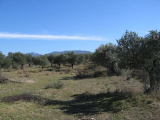 Finca rústica en T-734,. Finca rústica en el priorat Finca rústica en T-734,. Finca rústica en el priorat