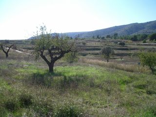 Miete Landgut in Collado almendro nr, 3. Finca hacienda en monovar, alicante españa Miete Landgut in Collado almendro nr, 3. Finca hacienda en monovar, alicante españa
