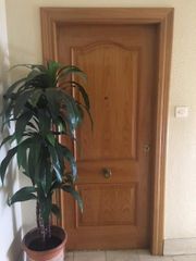 Piso en Calle pedro viruela, 12. Estupendo piso para entrar a vivir Piso en Calle pedro viruela, 12. Estupendo piso para entrar a vivir