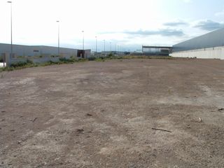 Affitto Area edificabile industriale in Plana de la serra, c/ norte, 17. Parcela industrial a pie autopista Affitto Area edificabile industriale in Plana de la serra, c/ norte, 17. Parcela industrial a pie autopista