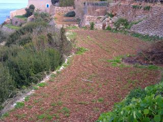 Propriété à Afueras, s/n. Dos marjades, tipo marina, no edificable Propriété à Afueras, s/n. Dos marjades, tipo marina, no edificable