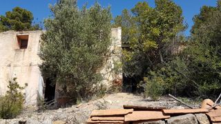 Rural plot in Poligono 9 parcelas 983 y984,. Finca rustica Rural plot in Poligono 9 parcelas 983 y984,. Finca rustica