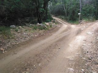 Finca rústica en Sant roc, sn. Terreno muy cuidado con posibilidad de negocio Finca rústica en Sant roc, sn. Terreno muy cuidado con posibilidad de negocio