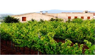 Lloguer Altres immobles en Calle carretera (el azagador), sn. Alquiler sala de catas, paisaje rodeado de viñedos Lloguer Altres immobles en Calle carretera (el azagador), sn. Alquiler sala de catas, paisaje rodeado de viñedos