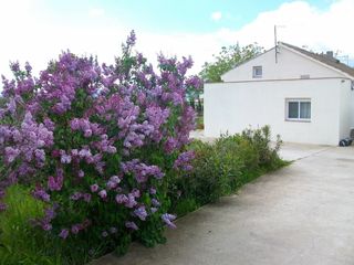 Casa en Disseminats, sn. Casa con terreno en venta Casa en Disseminats, sn. Casa con terreno en venta