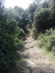 Miete Landgut in Can amat,. Terreny a ullastrell Miete Landgut in Can amat,. Terreny a ullastrell