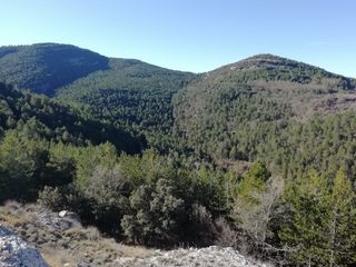 Rural plot in Carretera cv-170,. Finca rústica de pinos 175,62 ha en vistabella Rural plot in Carretera cv-170,. Finca rústica de pinos 175,62 ha en vistabella
