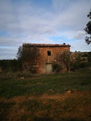 Finca rústica en Carrer lleida, s/n. Terreno de 5,5 hectareas de olivos Finca rústica en Carrer lleida, s/n. Terreno de 5,5 hectareas de olivos