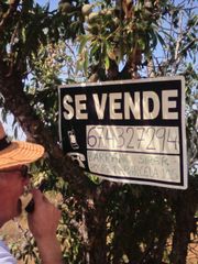 Lloguer Finca rústica en Polígono numero 1 -, 105. Vendo precioso terreno en náquera Lloguer Finca rústica en Polígono numero 1 -, 105. Vendo precioso terreno en náquera