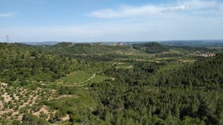 Rural plot in Partida guixeres, picamoixons,. Finca rústica olivers d.o. siurana eco. mobilhome Rural plot in Partida guixeres, picamoixons,. Finca rústica olivers d.o. siurana eco. mobilhome
