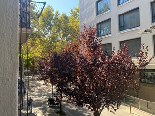 Alquiler Apartamento en Carrer sant josep oriol, 17. Fantático apartamento centro ciudad Alquiler Apartamento en Carrer sant josep oriol, 17. Fantático apartamento centro ciudad