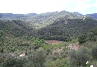 Finca rústica a Calle nueva 25. Terreno serrania de las nieves (el burgo, malaga) Finca rústica a Calle nueva 25. Terreno serrania de las nieves (el burgo, malaga)