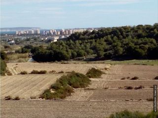 Alquiler Finca rústica en Camino de la depuradora ., 1. Finca entre ciudad quesada y guardamar del segura Alquiler Finca rústica en Camino de la depuradora ., 1. Finca entre ciudad quesada y guardamar del segura
