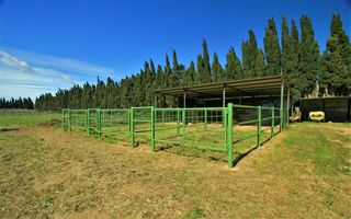 Rent Rural plot in Afores poligon 25,. Parcela rústica amb espai hípic Rent Rural plot in Afores poligon 25,. Parcela rústica amb espai hípic
