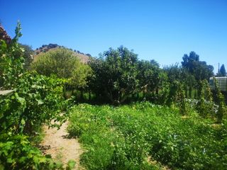 Wohngrundstück in Camí de la vall, s/n. Finca rustica paz, tranquilidad y desconexión Wohngrundstück in Camí de la vall, s/n. Finca rustica paz, tranquilidad y desconexión