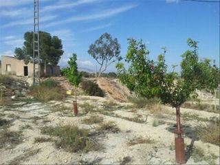 Lloguer Finca rústica en Paraje horna baja - a, s/n. Terreno en novelda Lloguer Finca rústica en Paraje horna baja - a, s/n. Terreno en novelda