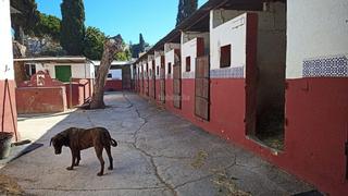 Lloguer Finca rústica a Calle el almendral 24. Parcela en alquiler en lindasol, marbella Lloguer Finca rústica a Calle el almendral 24. Parcela en alquiler en lindasol, marbella