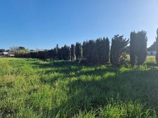 Rent Rural plot in Calle teresa cavestany 21. A pie de carretera ca 3113 km. 1.5 Rent Rural plot in Calle teresa cavestany 21. A pie de carretera ca 3113 km. 1.5