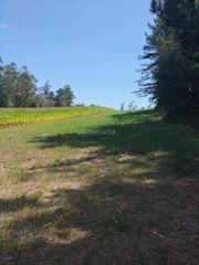 Propriété à Lugar manle 13. Remato lotes de fincas Propriété à Lugar manle 13. Remato lotes de fincas
