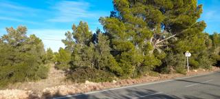 Solar industrial a Carrer ponent 21. Terrenz espectacular y precio negociable 16.450 m2 Solar industrial a Carrer ponent 21. Terrenz espectacular y precio negociable 16.450 m2