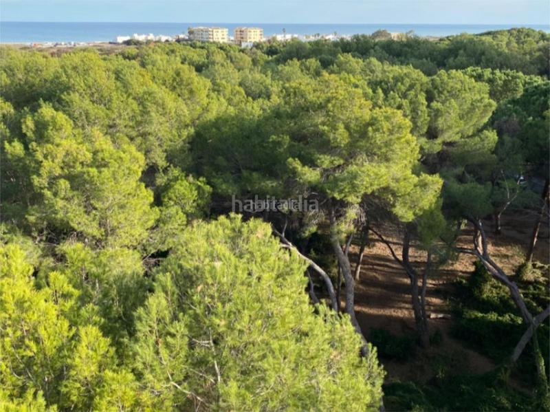 Foto afd82cb0-d958-42a7-b900-da3ab8e38070. Alquiler piso en avenida gola del puchol 6 El Saler / avenida gola del puchol en Valencia Foto afd82cb0-d958-42a7-b900-da3ab8e38070. Alquiler piso en avenida gola del puchol 6 El Saler / avenida gola del puchol en Valencia