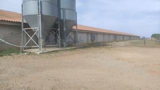 Bâtiment à usage industriel à Carretera del guijo 6. Nave granja criadero de pollos en activo Bâtiment à usage industriel à Carretera del guijo 6. Nave granja criadero de pollos en activo