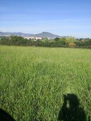 Rent Rural plot in Sarriena auzoa 100. Terreno rústico en alquiler Rent Rural plot in Sarriena auzoa 100. Terreno rústico en alquiler