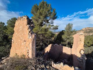 Finca rústica a Carrer d'en josep major 8. Finca rustica con masia para reformar Finca rústica a Carrer d'en josep major 8. Finca rustica con masia para reformar