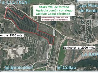 Finca rústica a Diseminado diseminados 178. 12500 m2. de terreno, 250 m2 para tu proyecto de vida y tranqui Finca rústica a Diseminado diseminados 178. 12500 m2. de terreno, 250 m2 para tu proyecto de vida y tranqui
