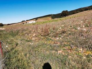 Propriété à Parcela 191. Cortijo con tereno , ideal para vivir y conectar con la naturale Propriété à Parcela 191. Cortijo con tereno , ideal para vivir y conectar con la naturale