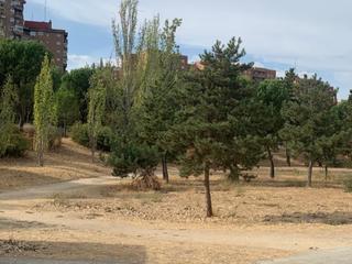 Planta baja en Calle choconta 6. ¡precio muy competitivo, distrito de hortaleza situado al noroes Planta baja en Calle choconta 6. ¡precio muy competitivo, distrito de hortaleza situado al noroes