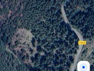 Finca rústica en T-313 4. Chollo! 2 hectáreas bosque con caseta de 20m2. ideal para invers Finca rústica en T-313 4. Chollo! 2 hectáreas bosque con caseta de 20m2. ideal para invers