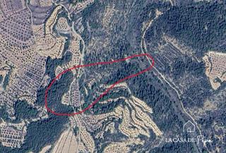 Propriété à Pobla de Cérvoles (La). Finca rústica con gran potencial Propriété à Pobla de Cérvoles (La). Finca rústica con gran potencial