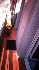 Pis a Sant Josep Pis a Sant Josep