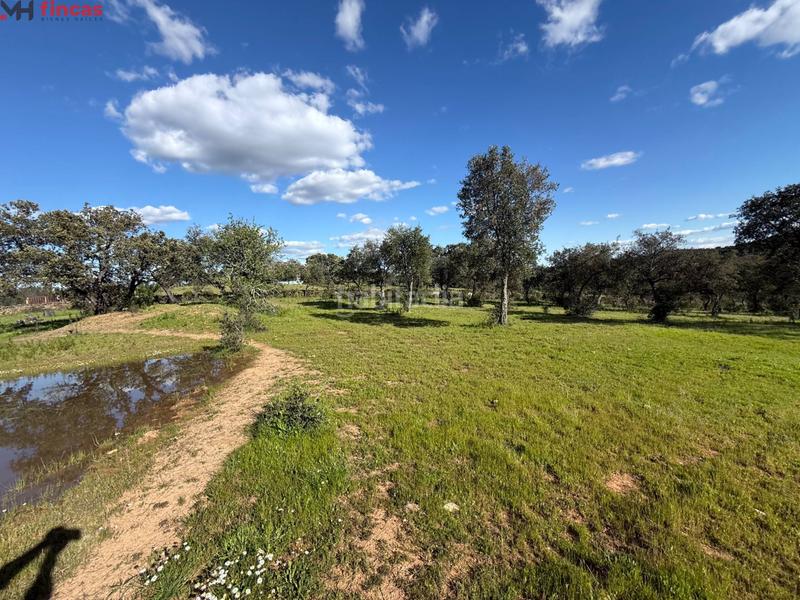Foto 16f96a81-eb3c-496a-a675-e27329e63c7c. Finca rústica a Almonaster la Real Foto 16f96a81-eb3c-496a-a675-e27329e63c7c. Finca rústica a Almonaster la Real
