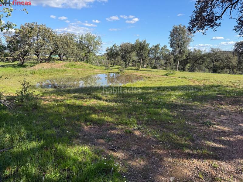 Foto 2fc40f8b-0d89-4bdc-af83-21746f00554a. Finca rústica a Almonaster la Real Foto 2fc40f8b-0d89-4bdc-af83-21746f00554a. Finca rústica a Almonaster la Real