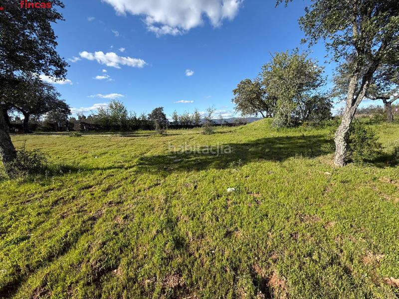 Foto 6c80c111-8d54-4a69-ac72-e6fb719868b4. Finca rústica a Almonaster la Real Foto 6c80c111-8d54-4a69-ac72-e6fb719868b4. Finca rústica a Almonaster la Real