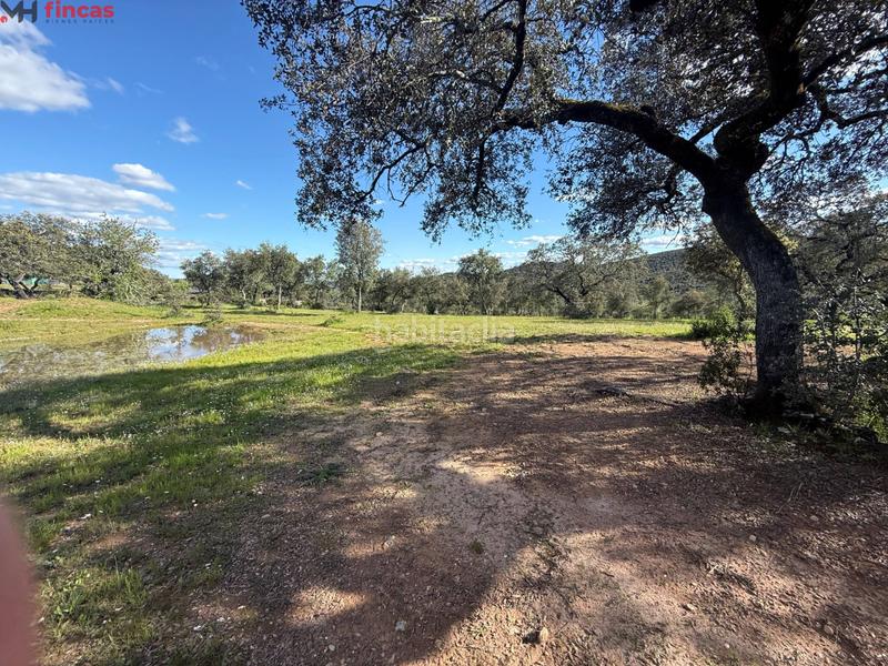Foto a8bc31f5-f266-49a1-9d3a-ab6f5e137127. Finca rústica a Almonaster la Real Foto a8bc31f5-f266-49a1-9d3a-ab6f5e137127. Finca rústica a Almonaster la Real