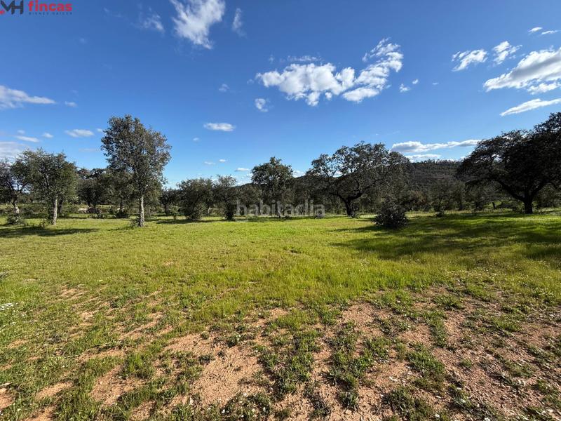 Foto aef985ef-e935-4d57-b0ea-c4b700c22491. Finca rústica a Almonaster la Real Foto aef985ef-e935-4d57-b0ea-c4b700c22491. Finca rústica a Almonaster la Real