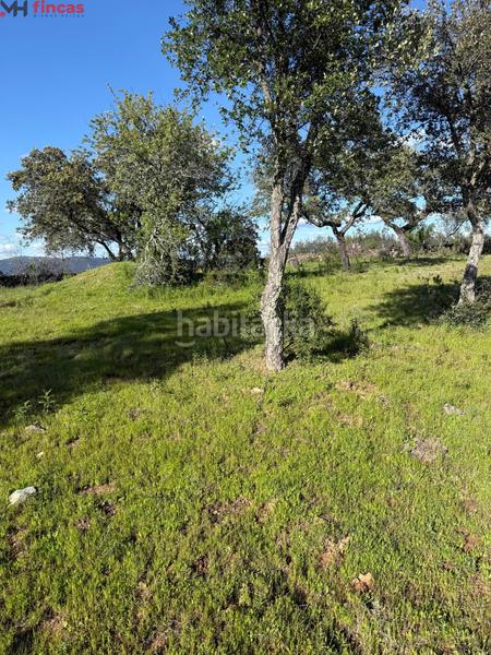 Foto afbe0d5a-9fca-4e09-9240-6c930ab1b4b4. Finca rústica a Almonaster la Real Foto afbe0d5a-9fca-4e09-9240-6c930ab1b4b4. Finca rústica a Almonaster la Real