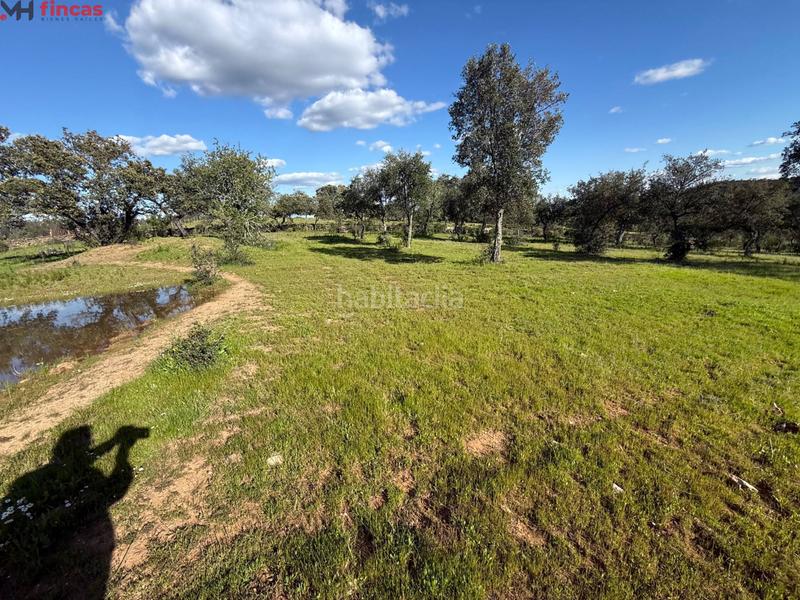 Foto c38b5c55-846e-4161-b37d-9ec4f59a0240. Finca rústica a Almonaster la Real Foto c38b5c55-846e-4161-b37d-9ec4f59a0240. Finca rústica a Almonaster la Real