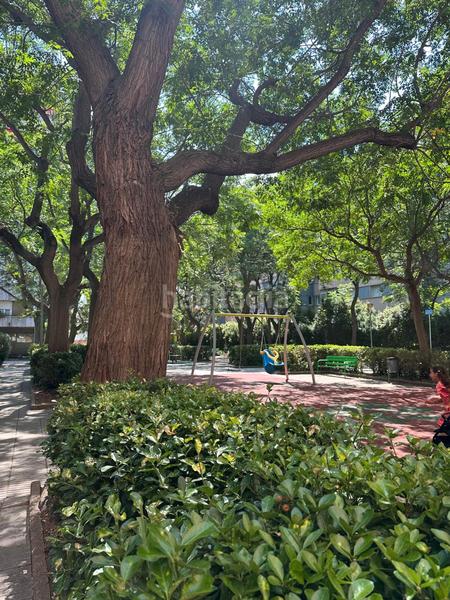 Foto 2f2c97ae-e298-40ce-8069-0d47a7d199b5. Pis amb calefacció a Instituts Granollers Foto 2f2c97ae-e298-40ce-8069-0d47a7d199b5. Pis amb calefacció a Instituts Granollers