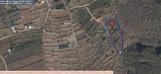 Fondo rustico Polígono 26 parcela 61 pedrero. frontera (s.c. te. Se vende terreno rustico en el hierro Fondo rustico Polígono 26 parcela 61 pedrero. frontera (s.c. te. Se vende terreno rustico en el hierro