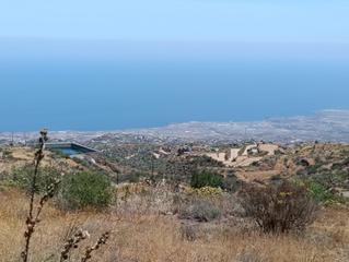 Finca rústica a Calle fasnia 0. Venta de terreno rústico en la zarza, fasnia Finca rústica a Calle fasnia 0. Venta de terreno rústico en la zarza, fasnia