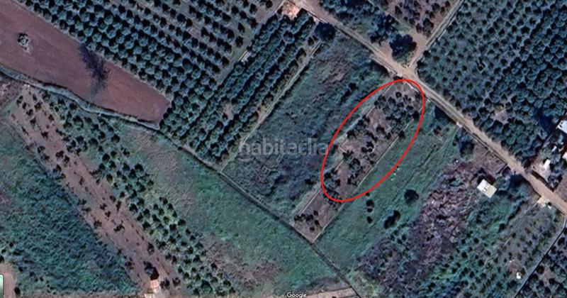 Foto 18409e7c-fbb6-4e84-a7cc-f2a3bbec8ee4. Landgut in Llombai Burriana Foto 18409e7c-fbb6-4e84-a7cc-f2a3bbec8ee4. Landgut in Llombai Burriana