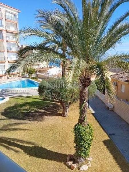 Foto d8b028f4-d79a-4fba-9d02-d46c4123f9ee. Pis amb piscina a El Altet Elche / Elx Foto d8b028f4-d79a-4fba-9d02-d46c4123f9ee. Pis amb piscina a El Altet Elche / Elx