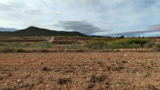 Finca rústica en Monòver. Parcela edificable con agua de riego de 22.293 m en monóvar alic Finca rústica en Monòver. Parcela edificable con agua de riego de 22.293 m en monóvar alic