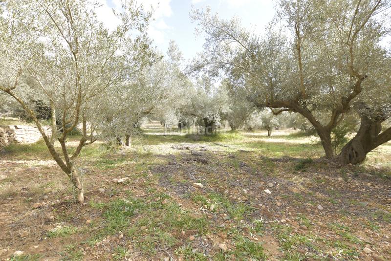 Foto 0cf2ccba-2b4e-4985-bdf4-7916b548f805. Haus in Jérica Foto 0cf2ccba-2b4e-4985-bdf4-7916b548f805. Haus in Jérica